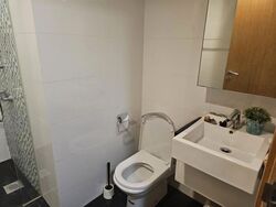 Oasis @ Elias (D18), Condominium #627420871